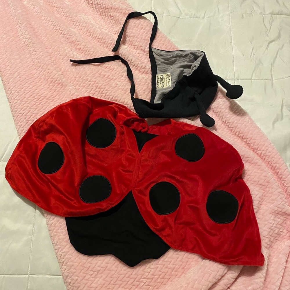 Costume Ladybug cape and handmade boutique linen cotton antenna bonnet 12-18 EUC